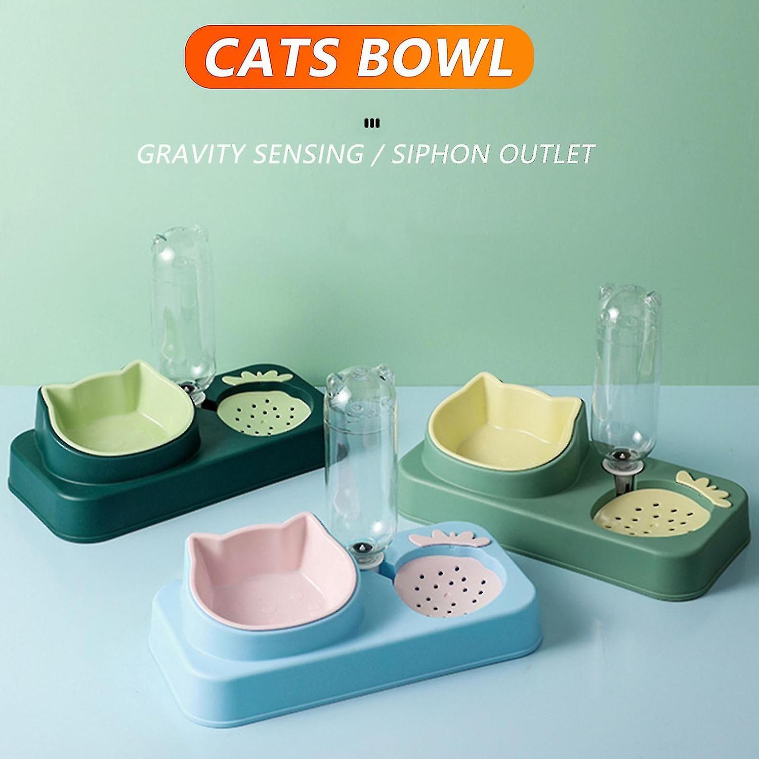 Dog Cat Bowls With Water Dispenser Tilted Cat Food Dishes For Indoor Pet