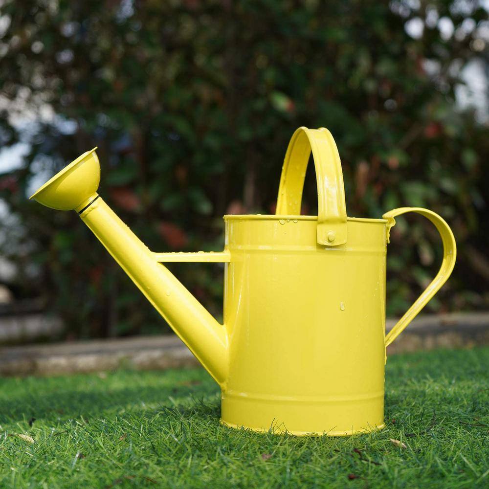 Cubilan 55 oz. Yellow Metal Watering Can with Handle and Rose Tip Contemporary B07M7MJBNY