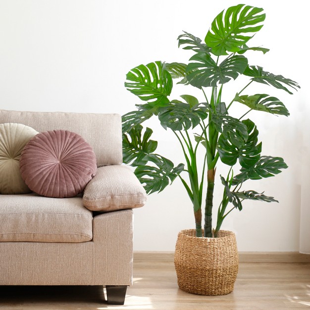 Northlight 5' Potted Wide Leaf Green Monstera Artificial Floor Plant