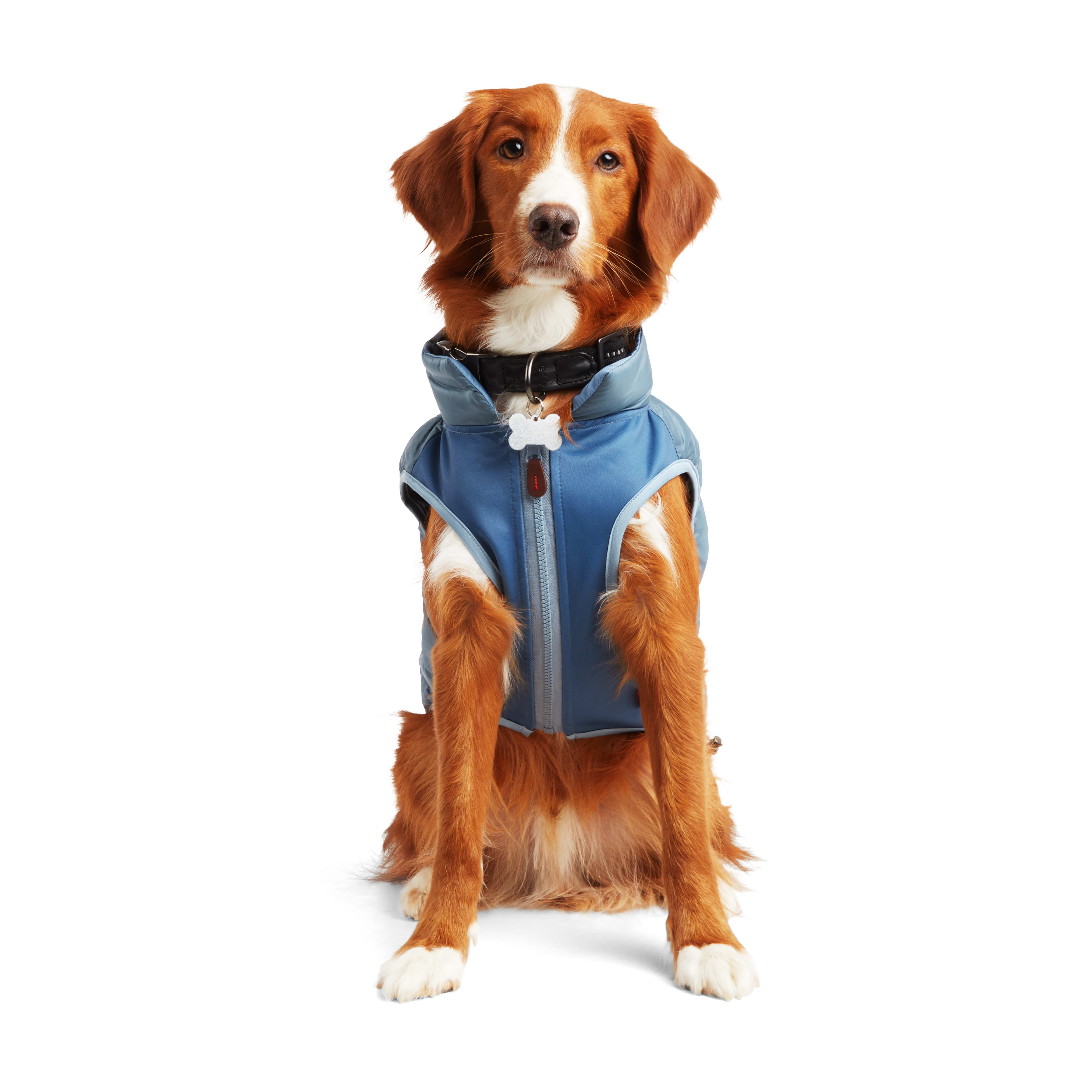 Reddy Blue Puffer Dog Vest， X-Small