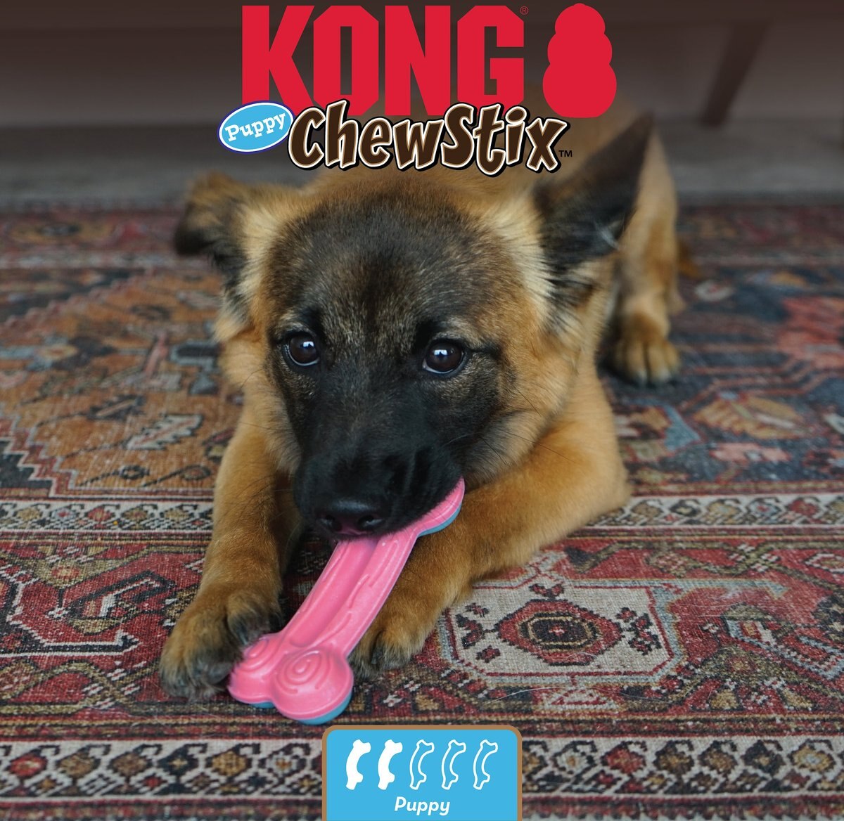 KONG ChewStix Puppy Curve Bone， Pink/Blue