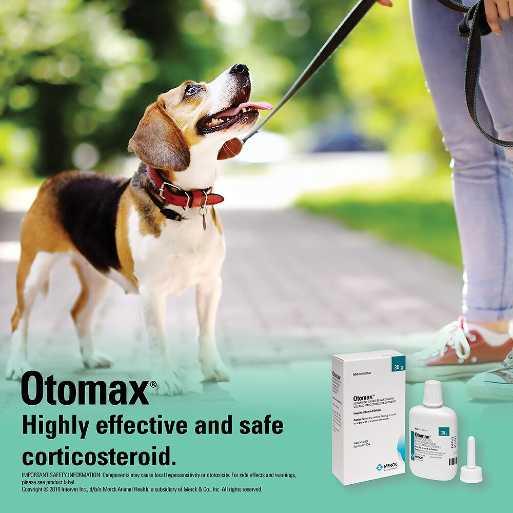 Otomax (Gentamicin / Betamethasone / Clotrimazole) Otic Ointment for Dogs