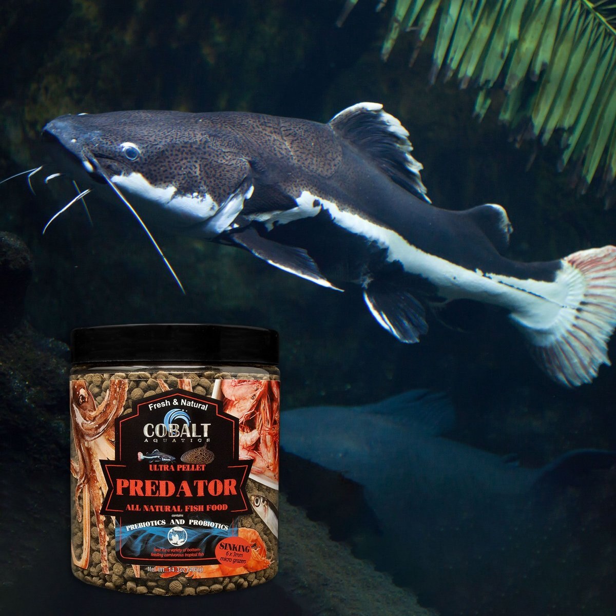 Cobalt Aquatics Ultra Predator Micro Grazer Sinking Fish Food