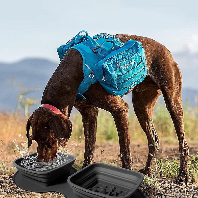 No-spill portable double dog bowl