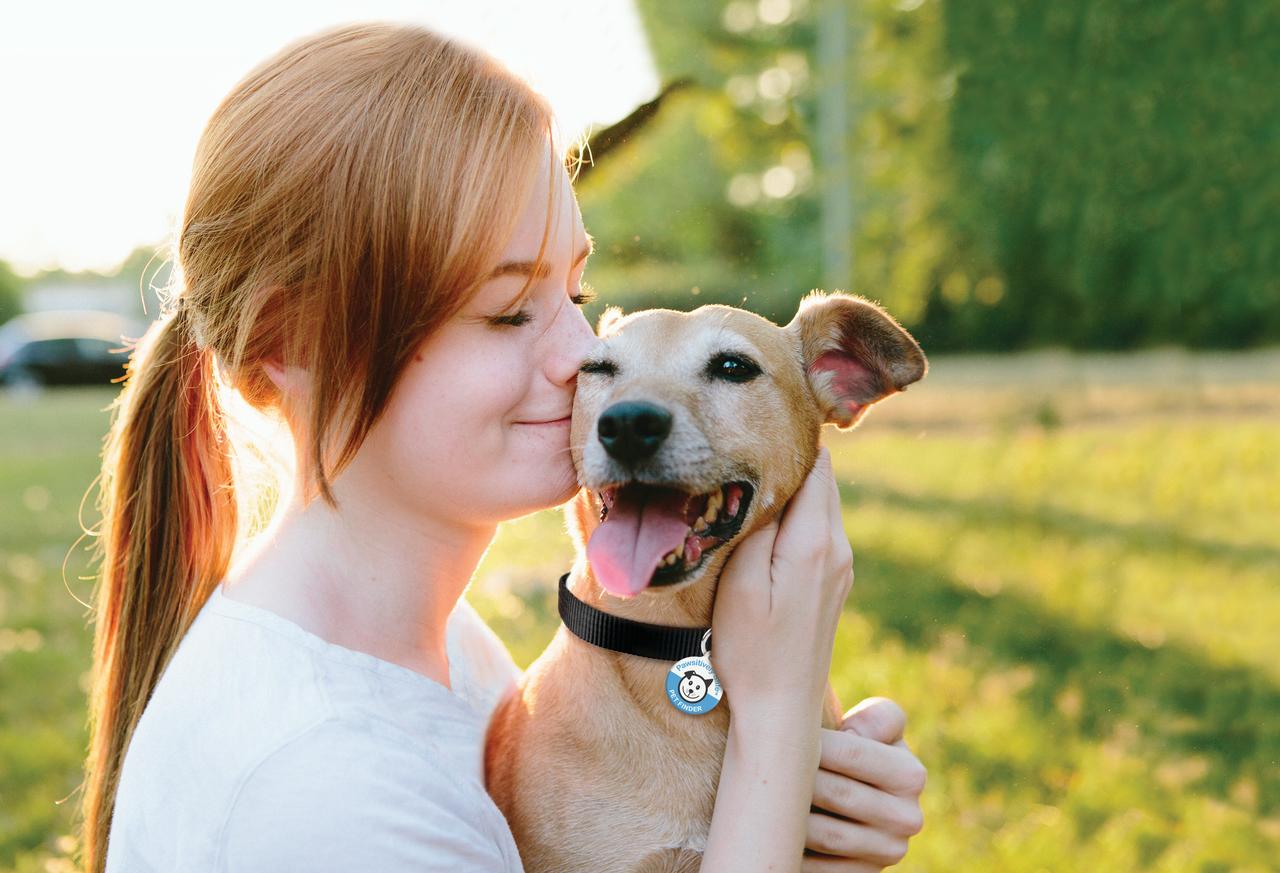 Pawsitively Safe Dog and Cat Pet Tag