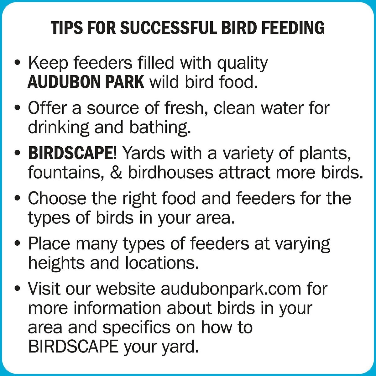 Audubon Park Nyjer Seed Wild Bird Food