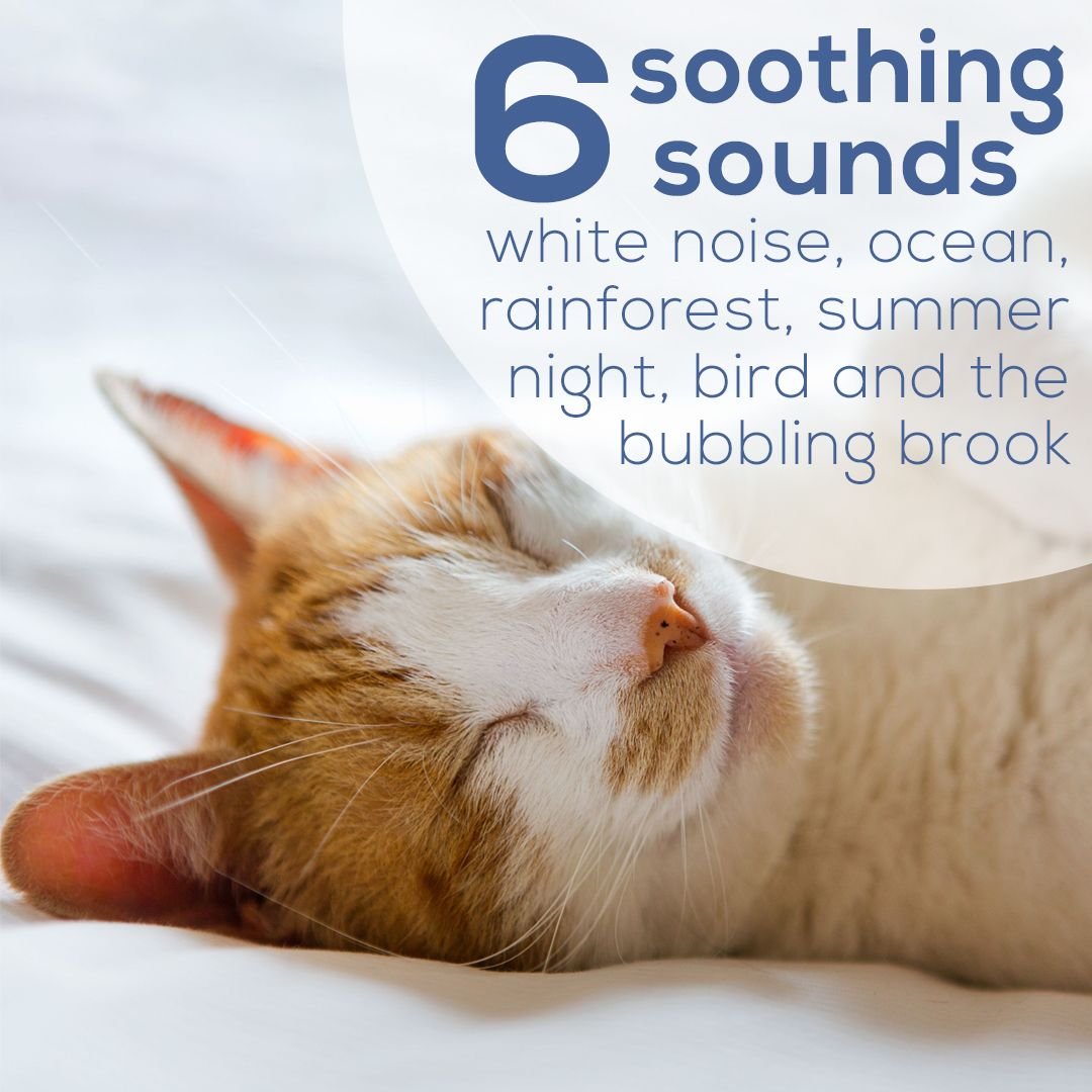 Beurer Premium White Noise Machine Cat and Dog Calming Device， White