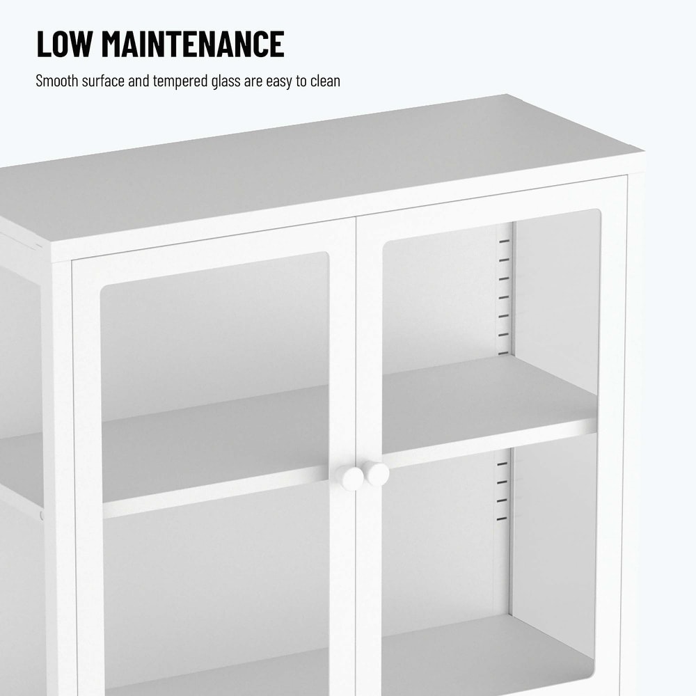 our Glass Door Storage Cabinet with Adjustable Shelves