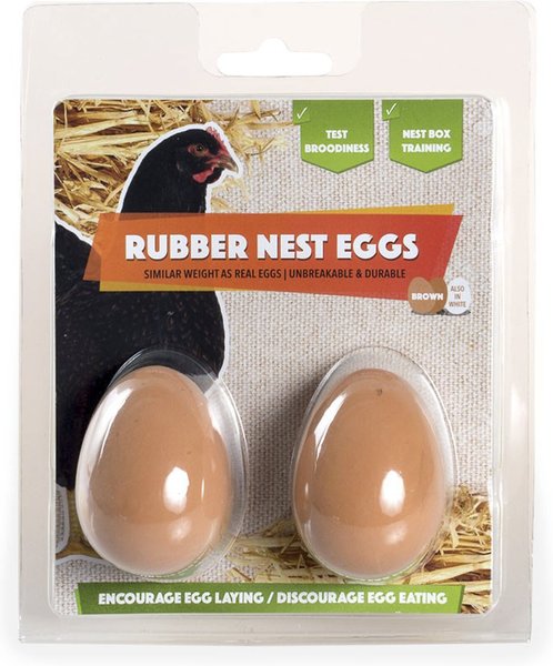 My Favorite Chicken Rubber Nest Eggs， 2 count， Brown