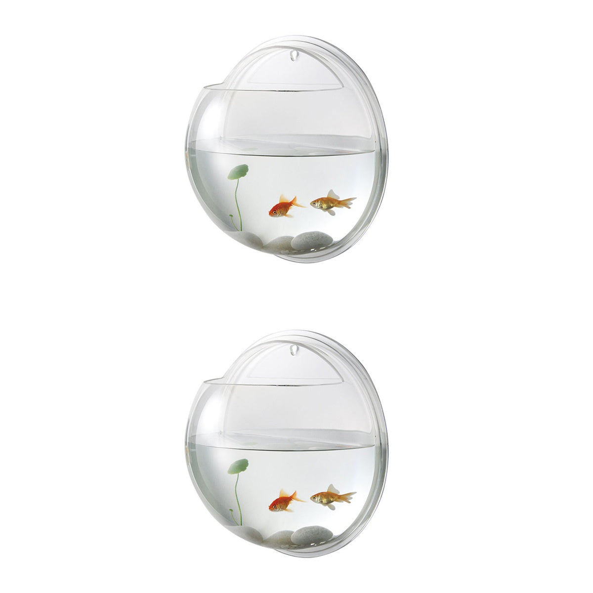 Frcolor Fish Wall Hanging Aquarium Tank Aquarium Mounted Bowl Pot Supplies Tanks Planter Betta Bubble Acrylic Bubble Tank