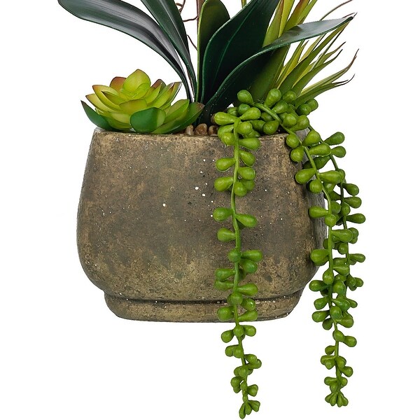 Singlestem Artificial Real Touch Silk Orchid with Succulents in Grey Cement Pot