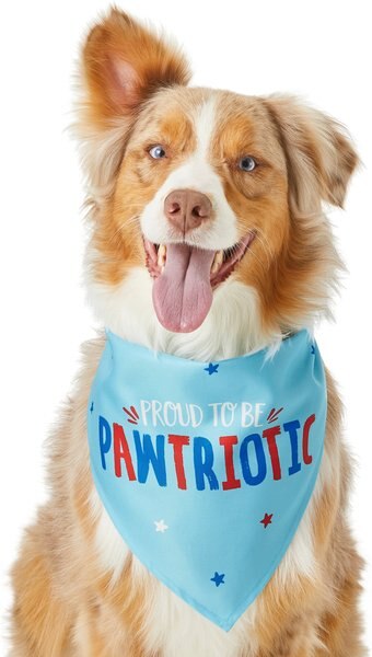 Frisco Pawtriot Dog and Cat Bandana