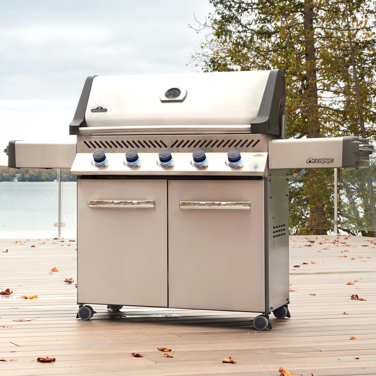 Napoleon Prestige 665 Natural Gas Grill