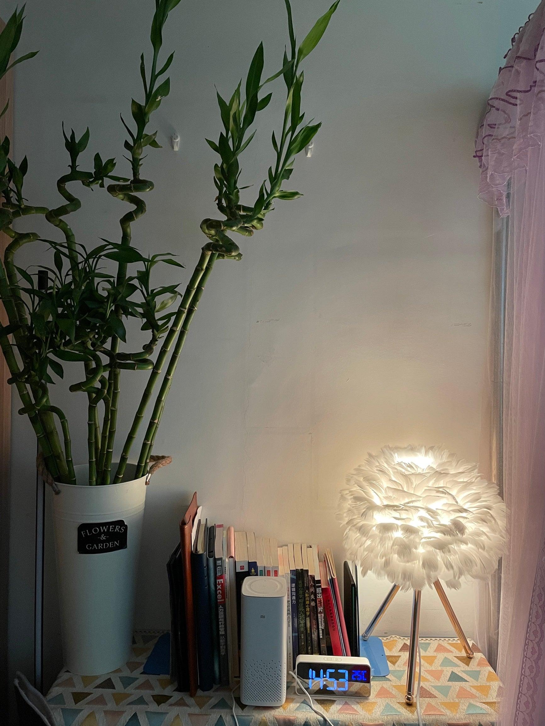 Goose Feather Table Lamp