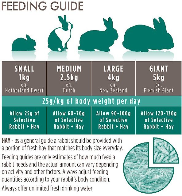 Science Selective 4+ Senior Rabbit Food， 70-oz bag