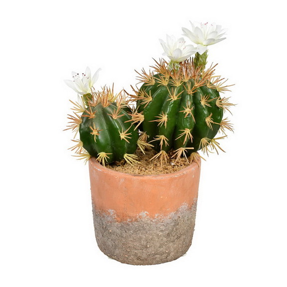 Vickerman FH192109 9 Green Potted Cactus