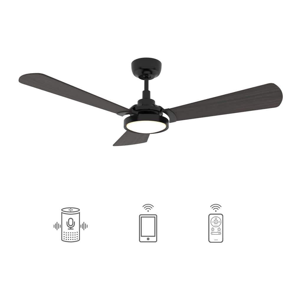 CARRO Veter 56 in Dimmable LED IndoorOutdoor Black Smart Ceiling Fan with Light and Remote Works with AlexaGoogle Home