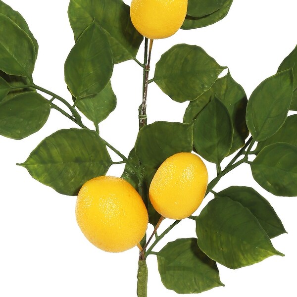 Vickerman 20 Artificial Salal Leaf Lemon Sprays. Pack of 4.