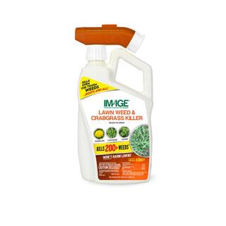 IMAGE 32 oz. Lawn Weed and Crabgrass Killer Ready-To-Spray 100526911