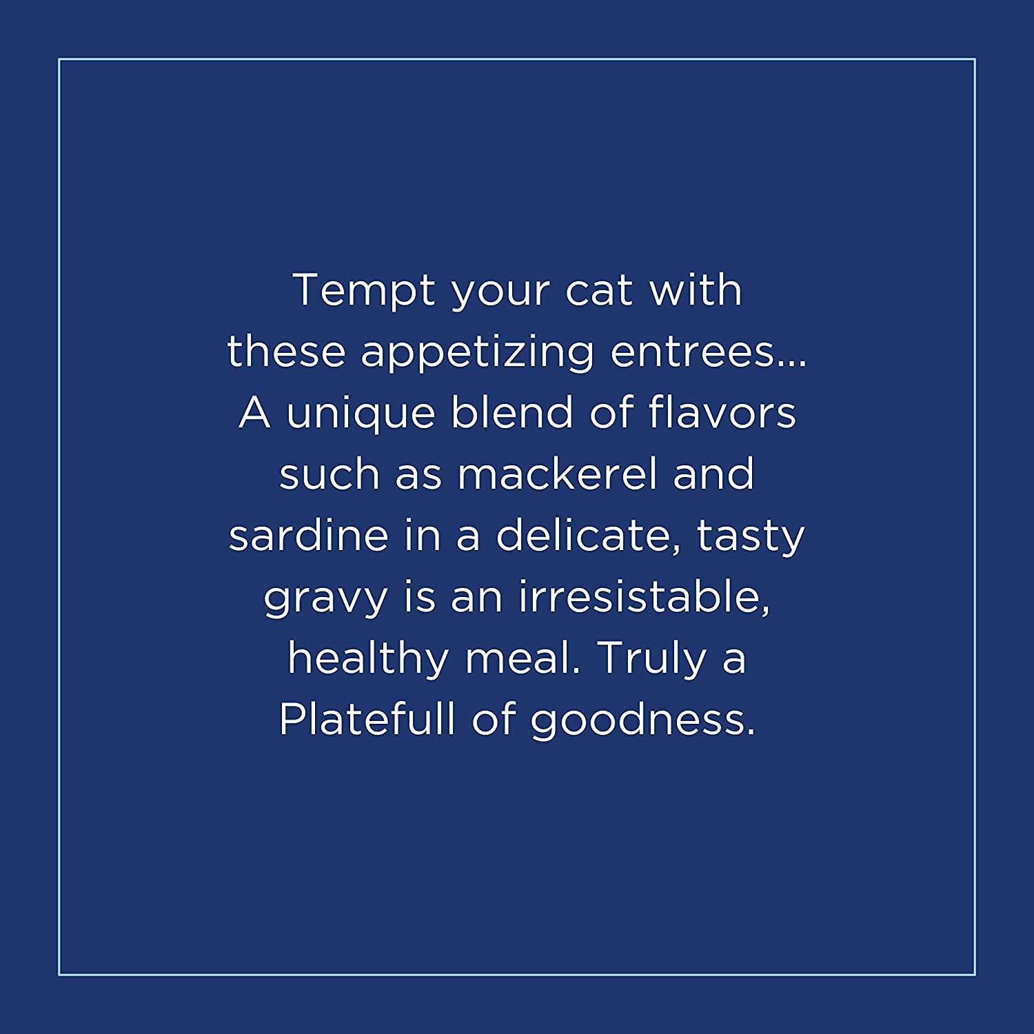 Natural Balance Platefulls Indoor Formula Mackerel and Sardine in Gravy Grain-Free Cat Food Pouches 3-oz pouch case of 24