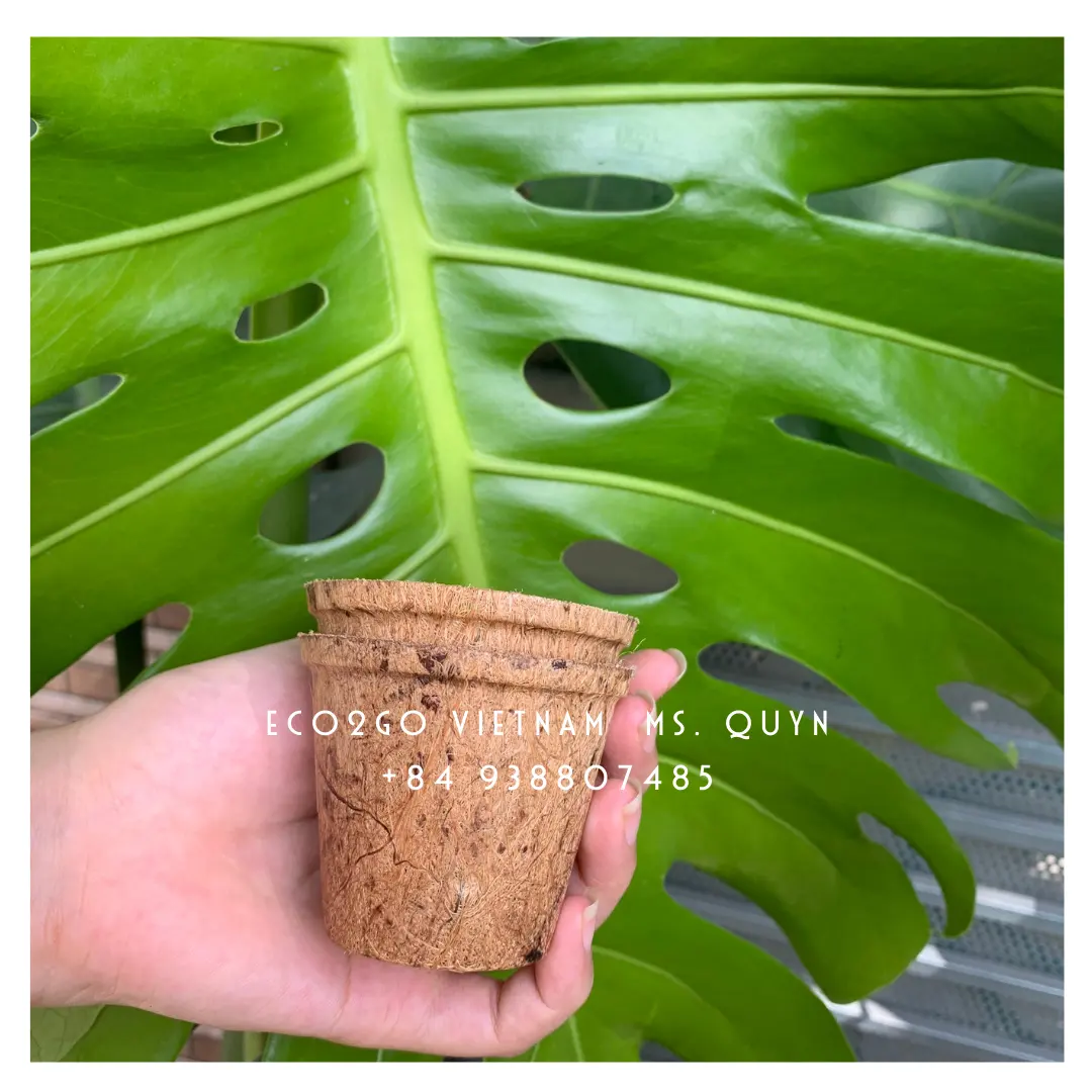 Solution Garden Supplies Coconut Coir Fiber Pot/ Coconut Plant Pot High Quality And Free Sample From Eco2go Vietnam