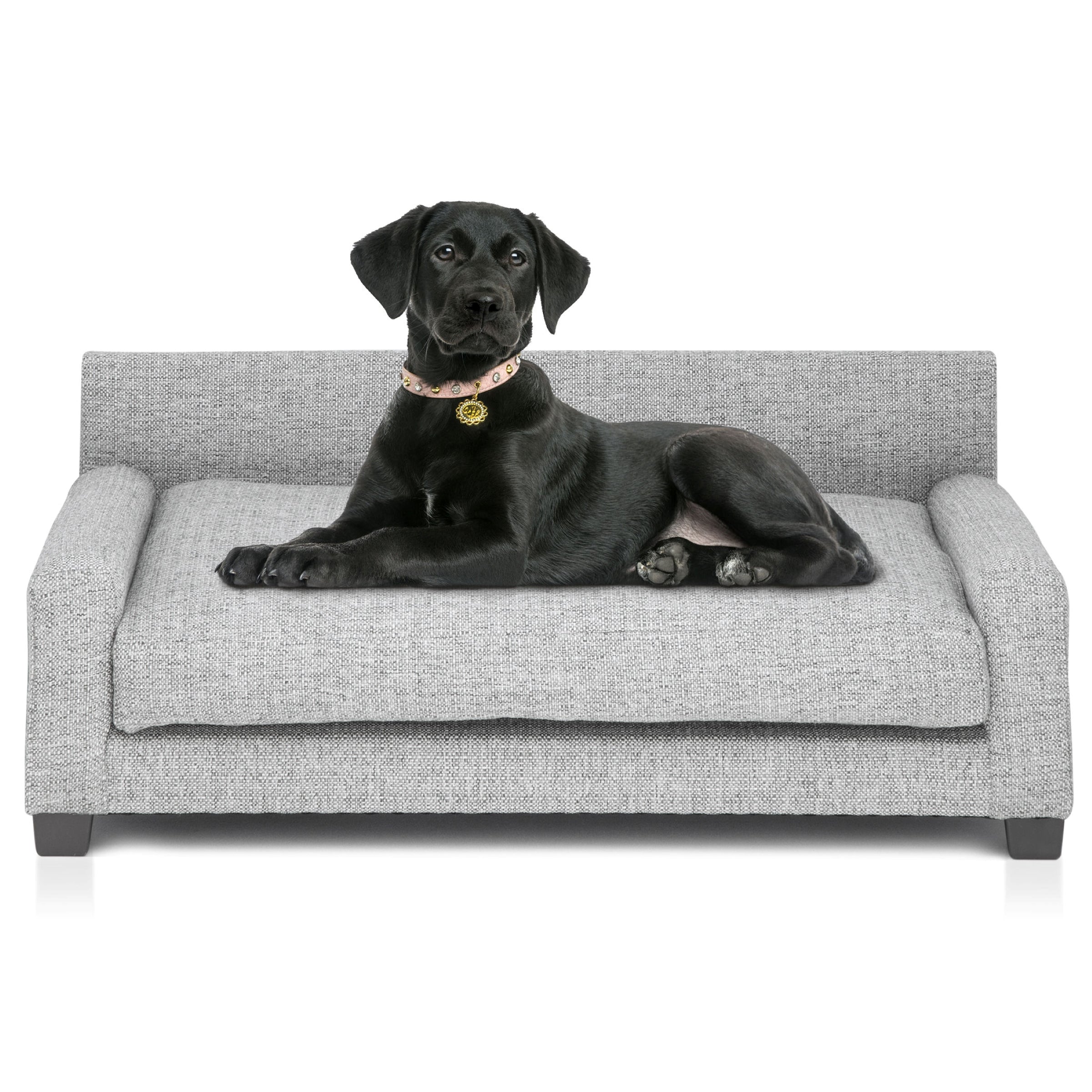 Club Nine Pets Metro Orthopedic Dog Bed， Large， Metal