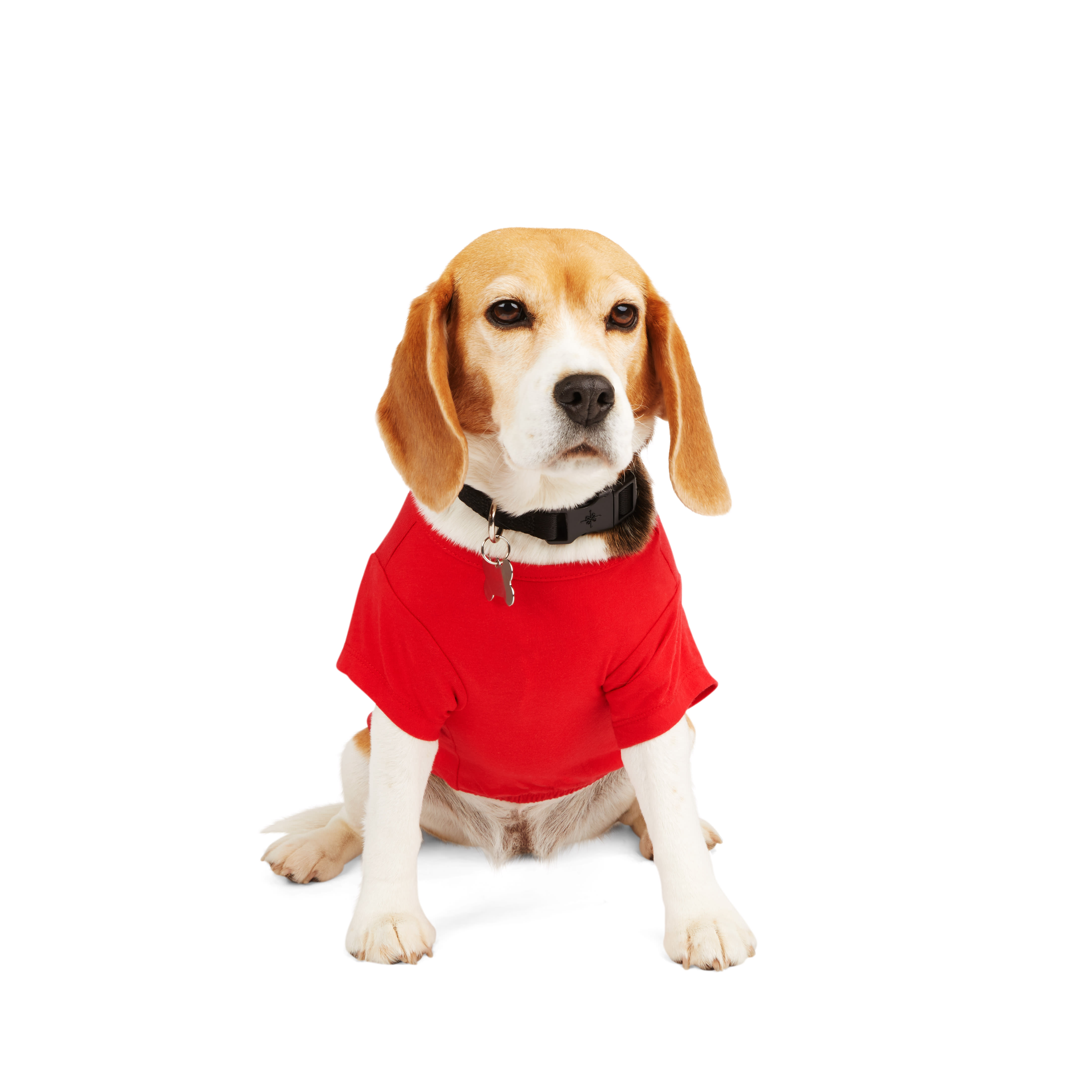 YOULY Super Mutt Dog Tee， XX-Small