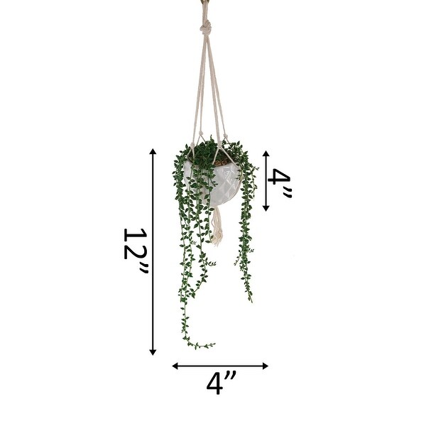 Artificial Plant STRING OF PEARLS MACRAME HANGING CERAMIC