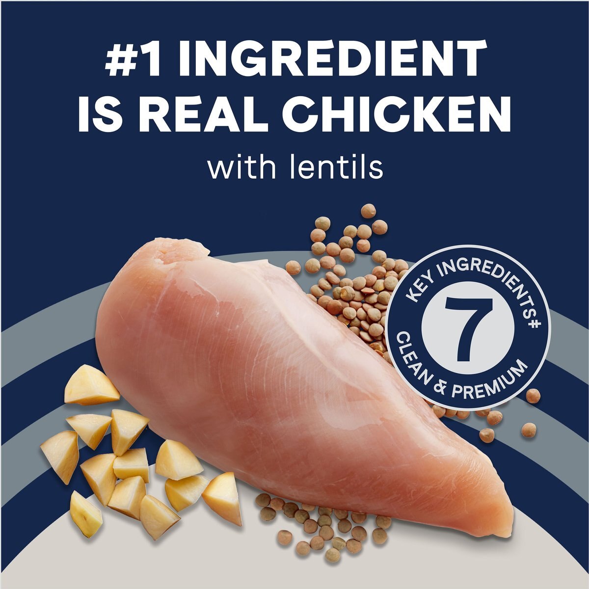 CANIDAE Pure Goodness Real Chicken， Lentil and Potato Recipe Adult Dry Dog Food