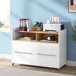 BYBLIGHT Atencio White 2-Drawer Mobile File Cabinet with Storage Shelves and Locking Casters for Home Office BB-XK00093DT