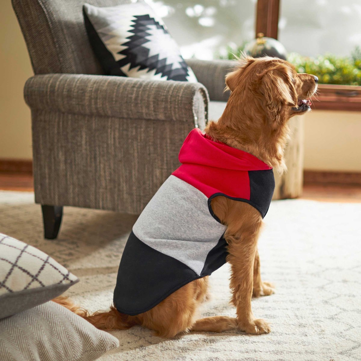 Frisco Colorblock Dog and Cat Sleeveless Hoodie