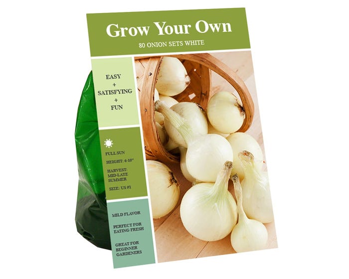 Van Zyverden Inc. Onion Sets - White 09798