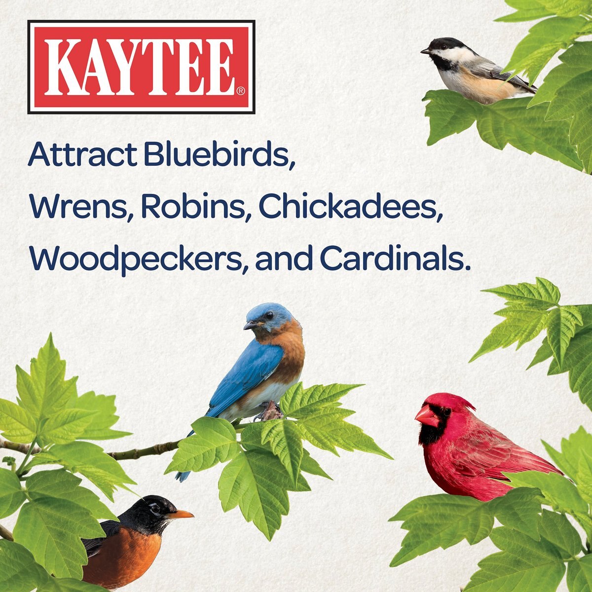 Kaytee Meal Worm Wild Bird Food