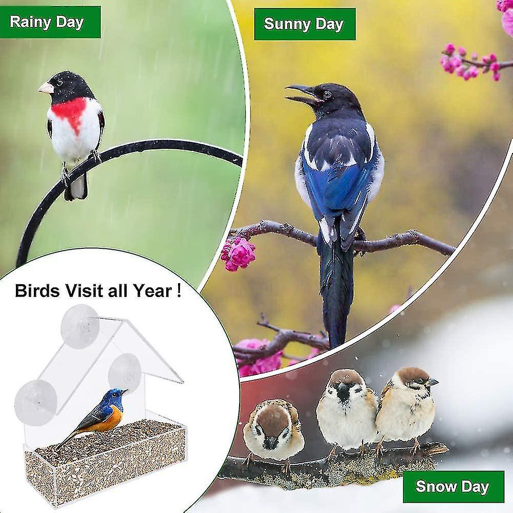 Window Bird Feeder For Outside With Strong Suction Cups