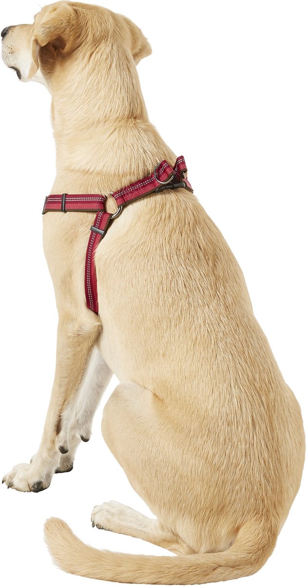 K9 Explorer Reflective Adjustable Padded Dog Harness