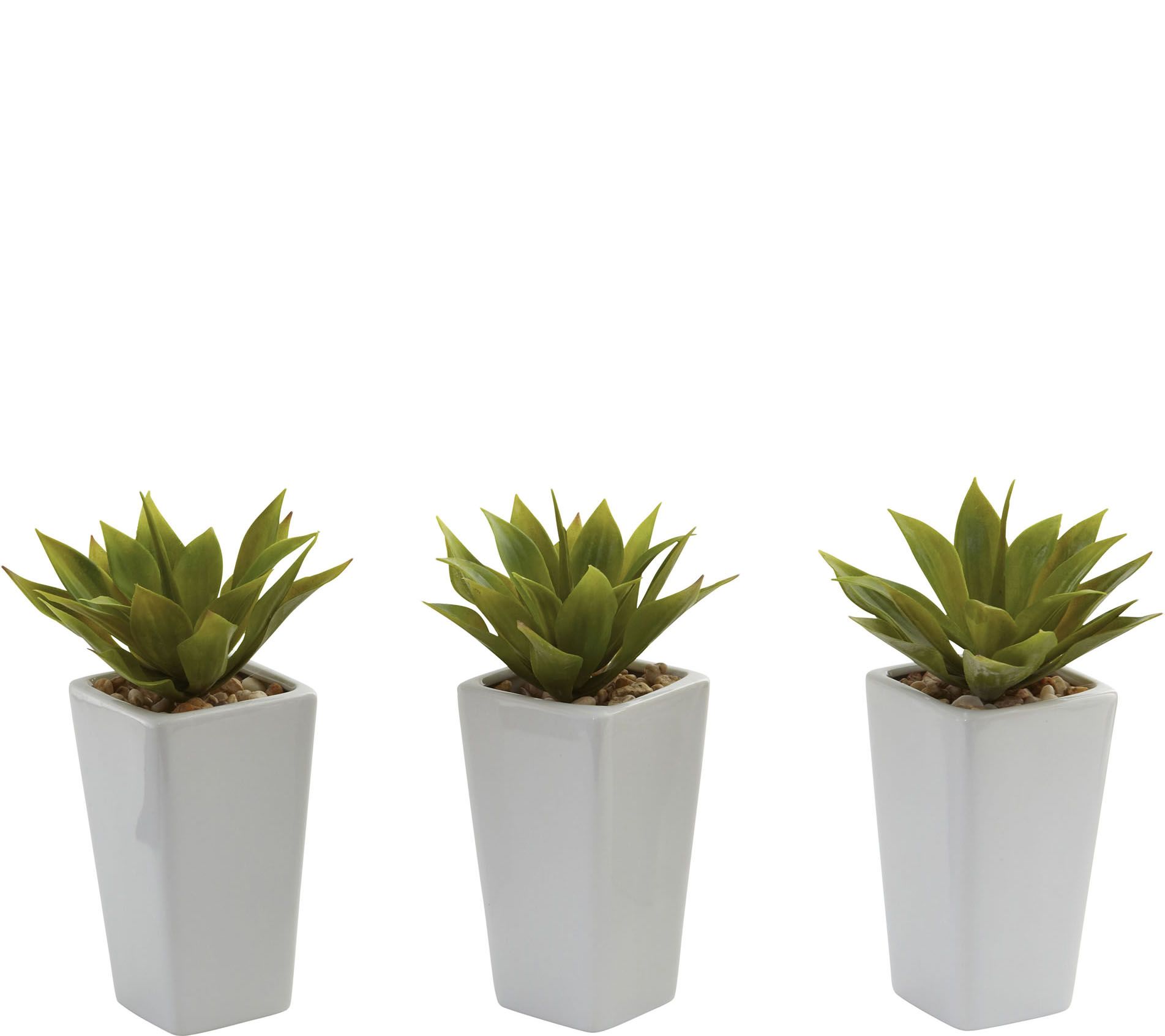 Set of 3 Mini Agave Plants by Nearly Natural