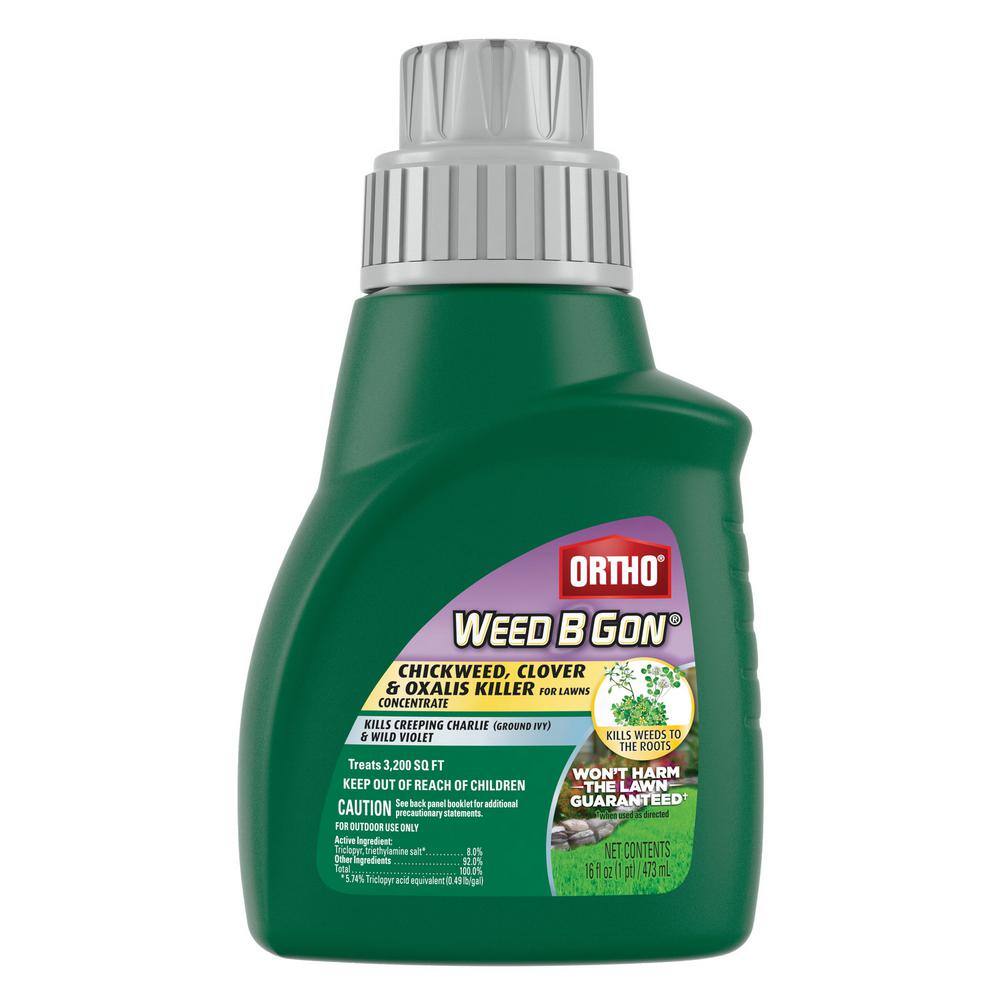 Ortho Weed B Gon 16 oz. Chickweed Clover  Oxalis Killer for Lawns Concentrate 0396410