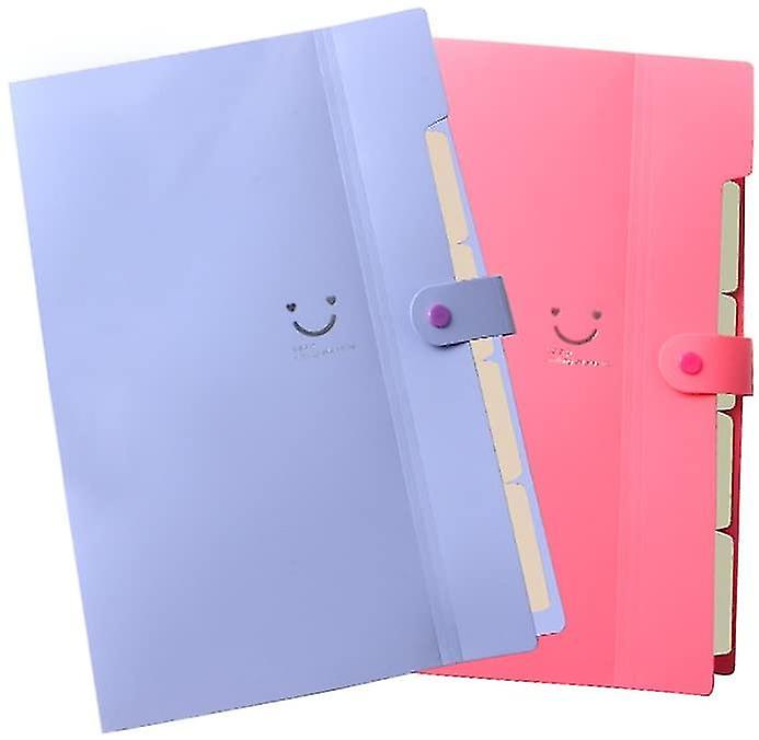 2 Pieces Of Creative A4 Folder With 5 Compartments， Pp (random Color)