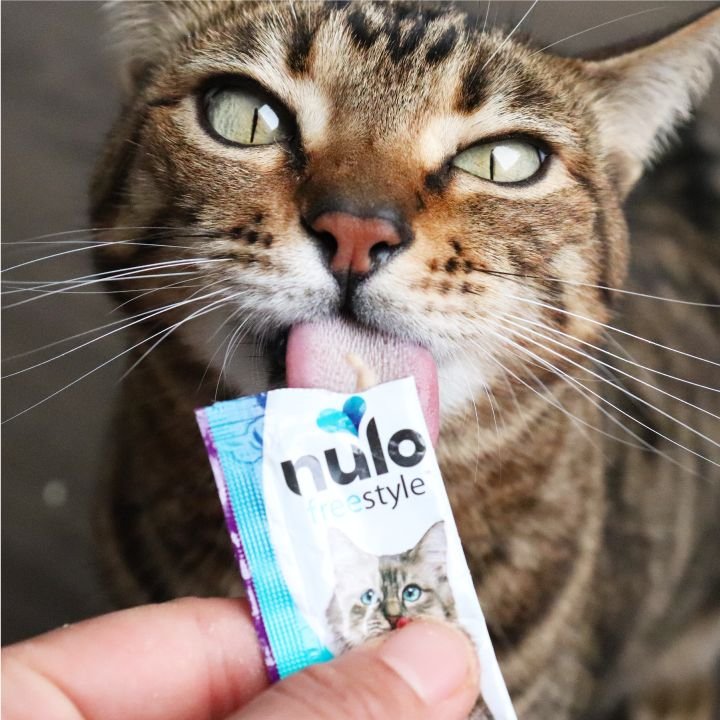 Nulo Freestyle Perfect Purees Chicken and Salmon Recipe Grain-Free Lickable Cat Treats