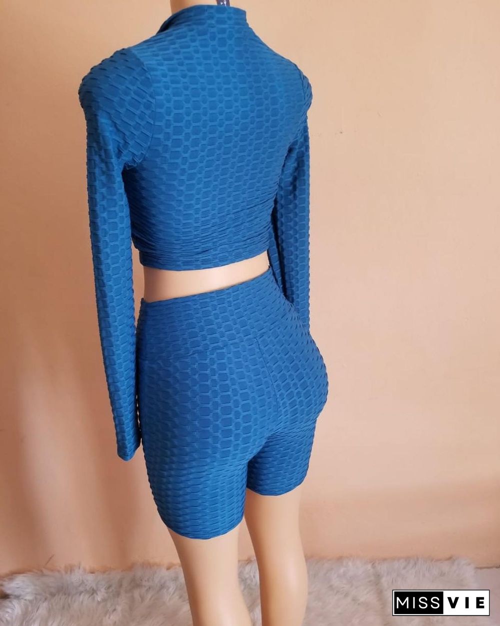 Women Solid Color Pineapple Grid Long Sleeve Zipper Crop Top Coat Slim Shorts Gym Sport 2 Piece Set