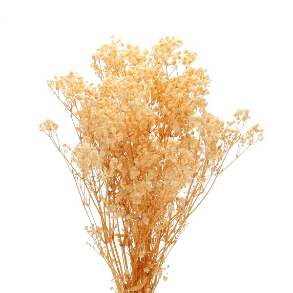 Dried Baby's Breath Flowers 17 Inch Natural Branches for Wedding 1 Pcs