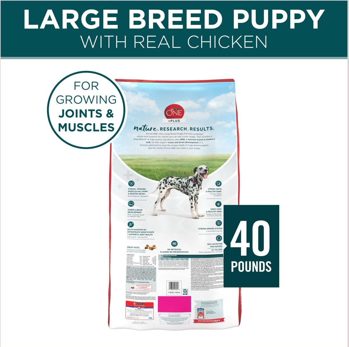 Purina ONE +Plus Natural Large Breed Formula Dry Puppy Food