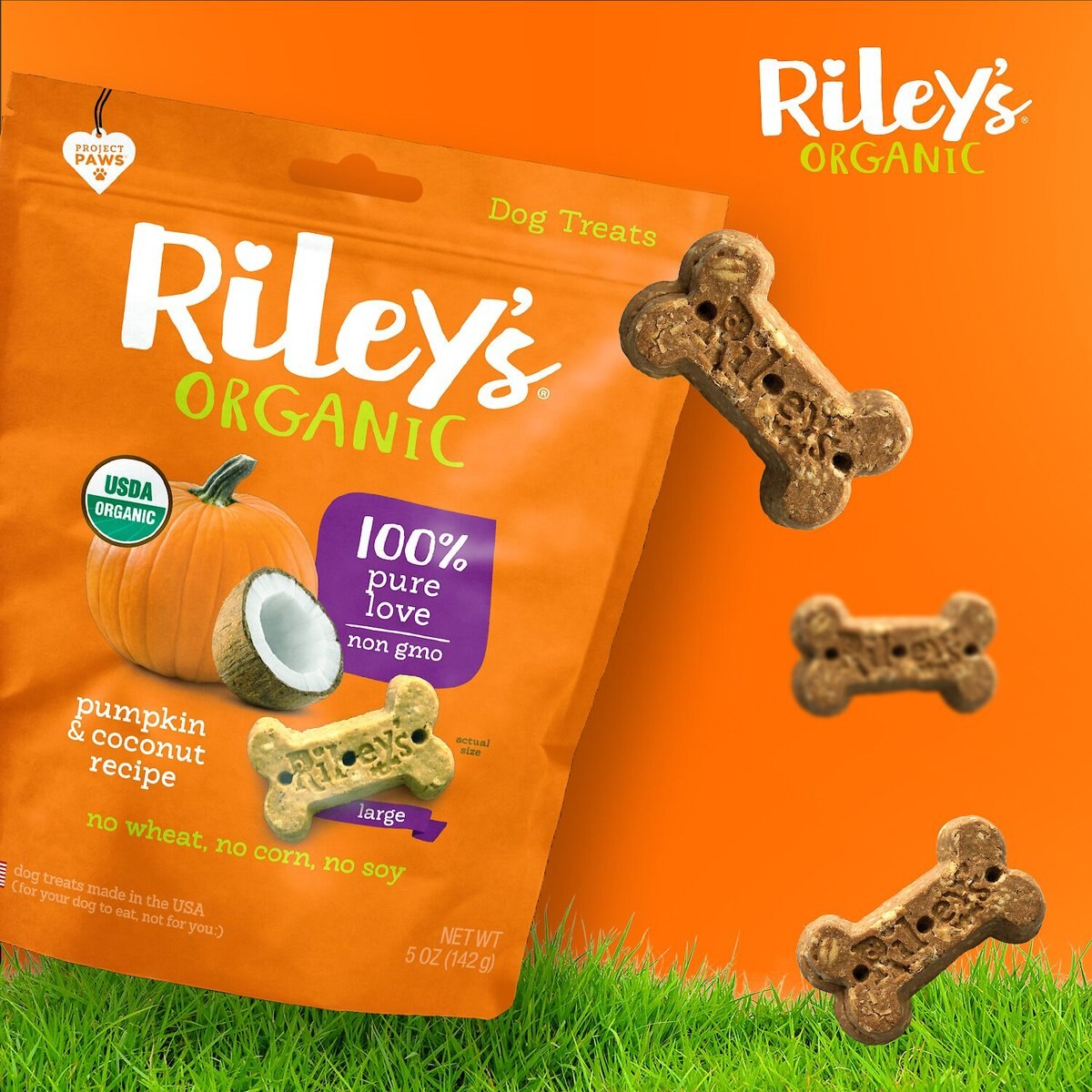 Riley's Organic Pumpkin and Coconut Large Bone Dog Treats， 5-oz