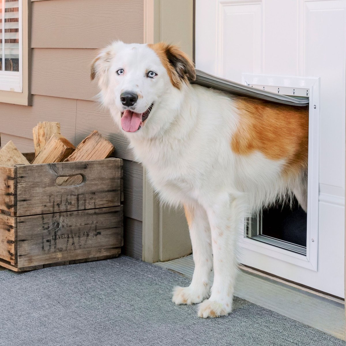 PetSafe Aluminum Extreme Weather Dog and Cat Door