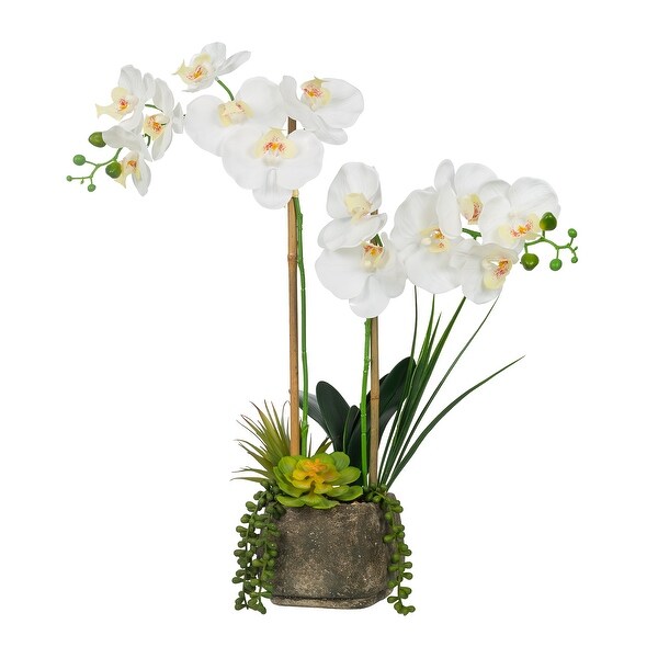 2 Stems Real Touch Phalaenopsis Plastic Orchids with Succulents in Pot