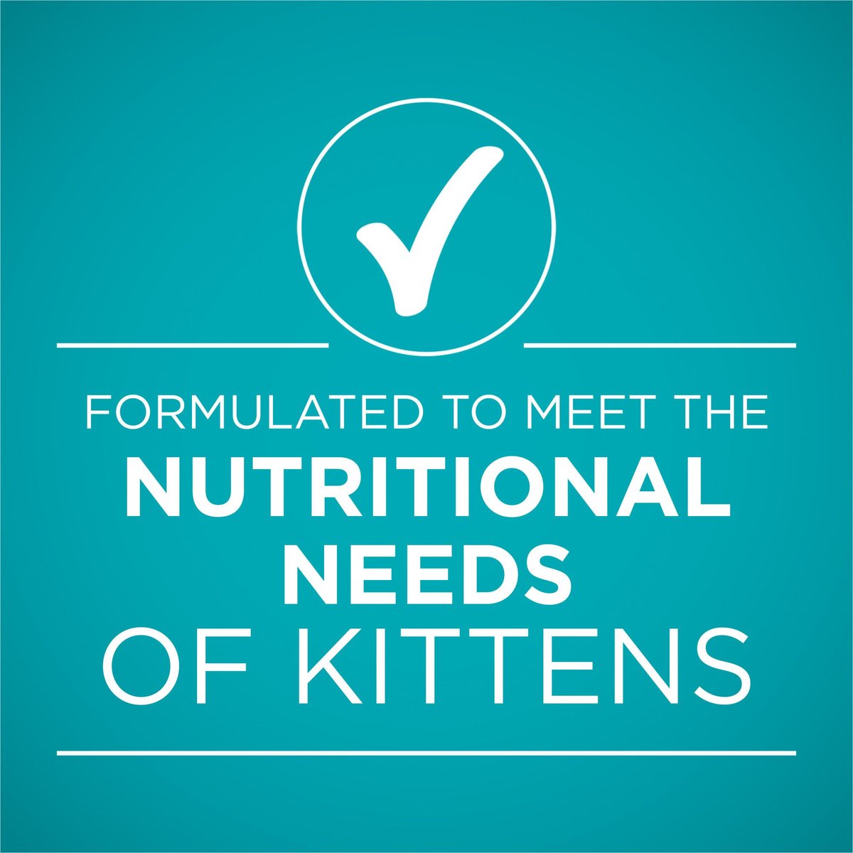 Purina ONE Grain Free Natural Pate Healthy Kitten Chicken and Salmon Recipe Wet Kitten Food