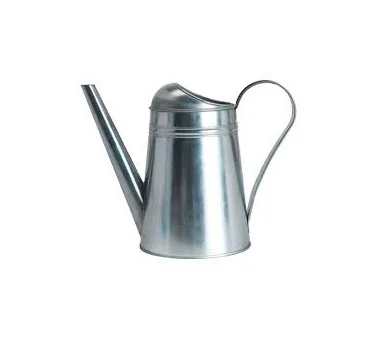 Modern Design Handmade Garden Decor Plant Watering Can Manufacturer Custom Handmade Iron Metal Plant Watering Can