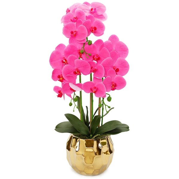 Pink Orchid plant in flat Round gold Hammered vase