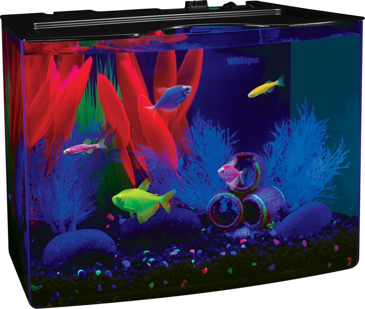 GloFish Aquarium Starter Kit