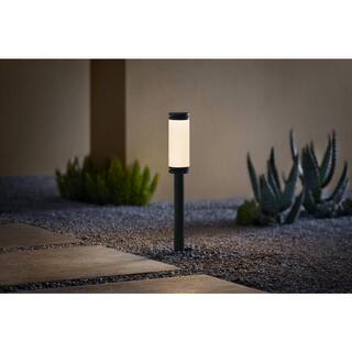 Hampton Bay Low Voltage Landscape Black Landscape Path Light with 2.5-Watt 100 lumen Color Changing Integrated LED LBO-NMB1BLRGB